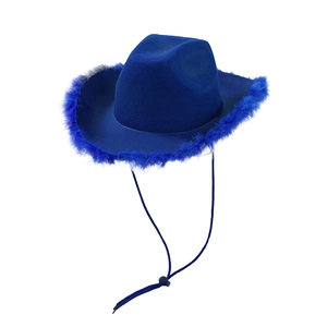 Detail of blue western cowboy hat featuring soft feather trim and adjustable wind rope