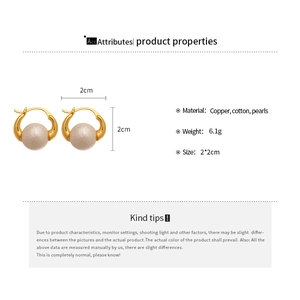 Detailed infographic showing 2cm gold-plated pearl hoop earrings with material specs