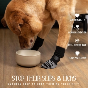 Dog wearing non-slip socks with velcro straps standing on wooden floor drinking water