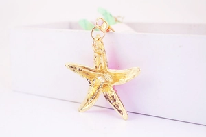 Macro detail of the golden starfish charm showing texture on a white package