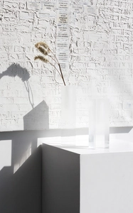 Artistic close-up of gradient acrylic vases with dried flowers and soft shadow effects