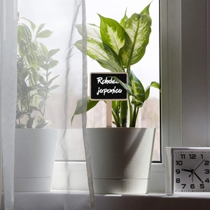 Detail of a black wooden plant marker with white handwritten text in a potted plant