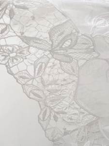 Close-up detail of white lace fabric featuring delicate hollow floral embroidery patterns