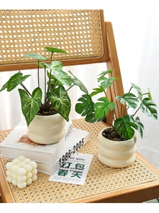 Detail of faux taro and monstera plants in ripple-textured ceramic pots with dark pebbles
