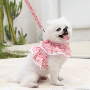 Pink floral pet harness and leash set with white lace trim worn by a small white dog