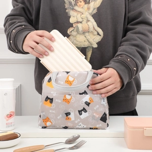 Insulated Lunch Bag Waterproof Portable Thermal Bento Box Tote Bag With Front Pocket For Office School