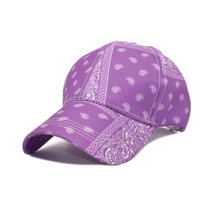Detailed view of purple paisley print baseball cap with white patterns on canvas material