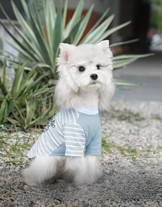 Detail of blue and white striped dog t-shirt with breathable cotton and letter print