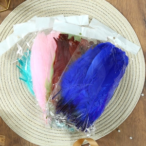 Assorted colorful goose feathers in transparent bags for DIY craft and dreamcatcher décor