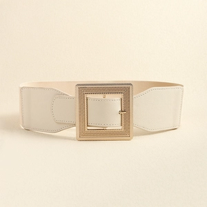 Detail of beige elastic wide waist belt with square gold buckle on textured background