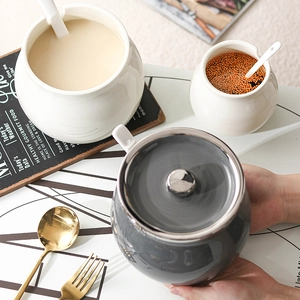 Minimalist ceramic lard pots with spoons for seasoning salt and chili oil storage