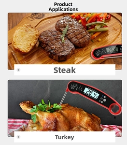 Digital food thermometer with folding probe used for testing steak and turkey temperature