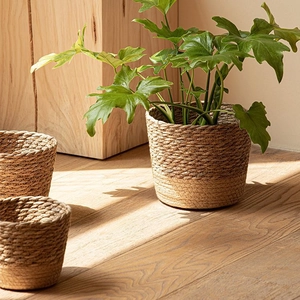 Set of three Nordic seagrass planters in various sizes for home decor and storage