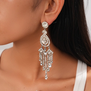 Detailed view of silver rhinestone fringe earrings featuring a long tassel design on a model