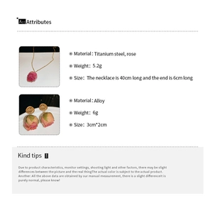 Detailed specs for titanium steel necklace and alloy earrings with real pink dried roses