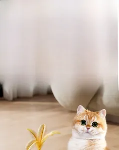 Detail of tumbler cat toy with feather wand and built-in treat dispenser compartment