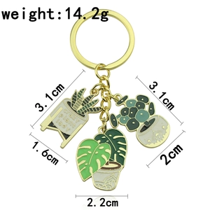 Detailed size and weight view of green plant succulent keychain with crazy plant lady text