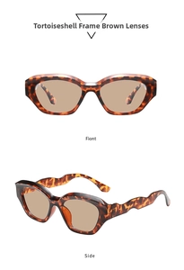 Retro polygon sunglasses with tortoiseshell frames and brown lenses, front and side views