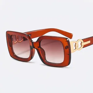 Square tortoise shell sunglasses with gold chain detail and gradient dark lenses