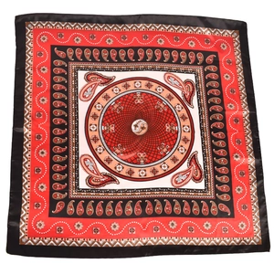 Detailed pattern of a square red and black paisley silk scarf with a geometric border