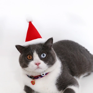 Close-up of pet Christmas set with red felt hat and glove pendant collar on a cat