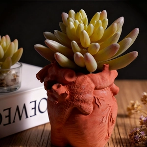 Detail of anatomical heart-shaped resin planter with realistic muscle texture and veins