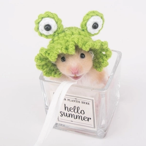 Close-up of a small hamster wearing a green knitted frog hat inside a glass cup