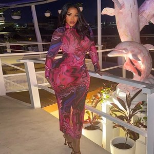 Women Abstract Print Mesh Maxi Dress Long Sleeve High Neck Slim Fit Bodycon Aesthetic Streetwear Retro Elegant Evening Gown