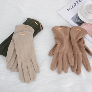 Damen Winter Wildlederhandschuhe Fleecegefüttert Warm Touchscreen Winddicht Outdoor Fahren Mode Metalldekor Minimalistisch