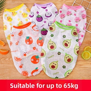 Detail view of five fruit-themed breathable mesh pet vests with avocado and berry prints
