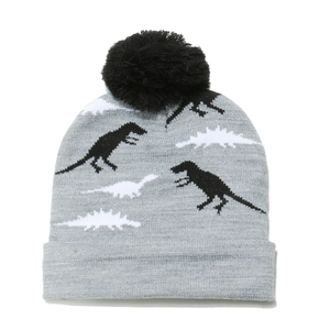 Detailed close-up of knit fabric showing grey dinosaur patterns and black pom-pom on winter hat