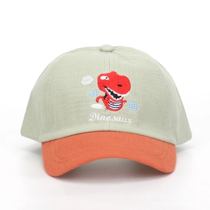 Close-up of children's baseball cap with dinosaur embroidery and contrast color visor