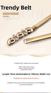 Detail of golden elastic metal belt with rhinestone buckle showing 74-100cm length range