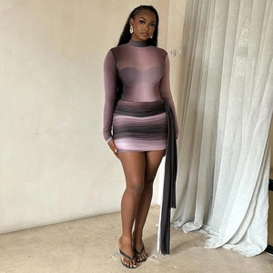 Slim fit gradient purple mesh dress with high neck, long sleeves, and side drapes