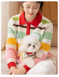 Close-up of matching multi-color striped knit sweaters for female owner and small pet dog