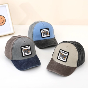 Detailed embroidery of Dinosaur text on children color-blocked cotton baseball caps