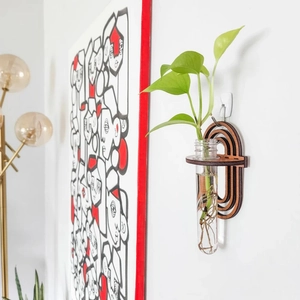 Detail of wall-mounted wooden test tube vase with green hydroponic plants on white wall