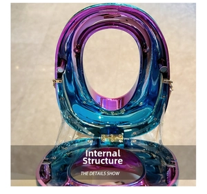Detail view of the iridescent acrylic bag showing internal magnetic closure and hinges