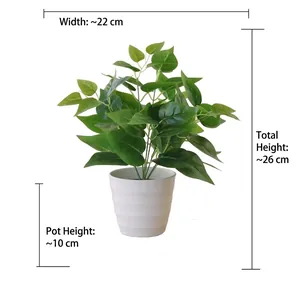 Detail view of potted artificial ivy with size labels 22cm width and 26cm height