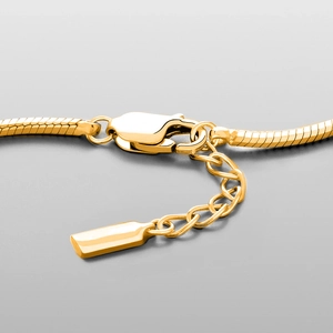 Bracelet chaîne serpent minimaliste en acier inoxydable doré avec finition polie et fermoir