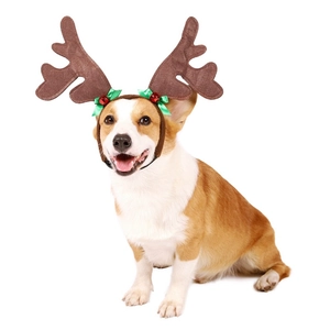 Close-up of dog Christmas reindeer antlers with green bows and red bells on white background