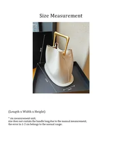Detailed size chart showing length 21cm, width 13cm and height 16cm for the bucket bag