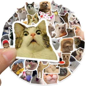Detail of waterproof cat meme stickers showing glossy print and various funny expressions