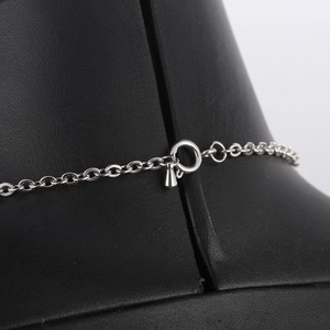Macro shot of silver titanium steel necklace chain with a durable spring clasp detail