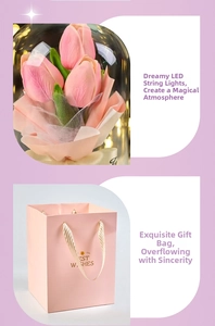 Pink tulip glass dome with LED light and matching Best Wishes gift bag set
