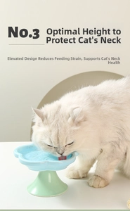 Blue petal ceramic elevated cat bowl with green stand protecting feline cervical spine