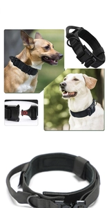 Detail showing tactical dog collar with heavy-duty metal buckle and reinforced nylon strap