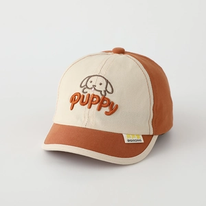 Close-up of cute puppy embroidery and stitching on toddler color-block baseball cap