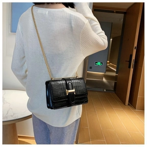 Close-up of black crocodile pattern bag with golden H buckle and chain strap on model