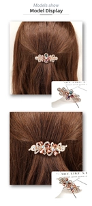 Détail macro de pinces à cheveux en alliage vintage avec cristaux colorés et strass
